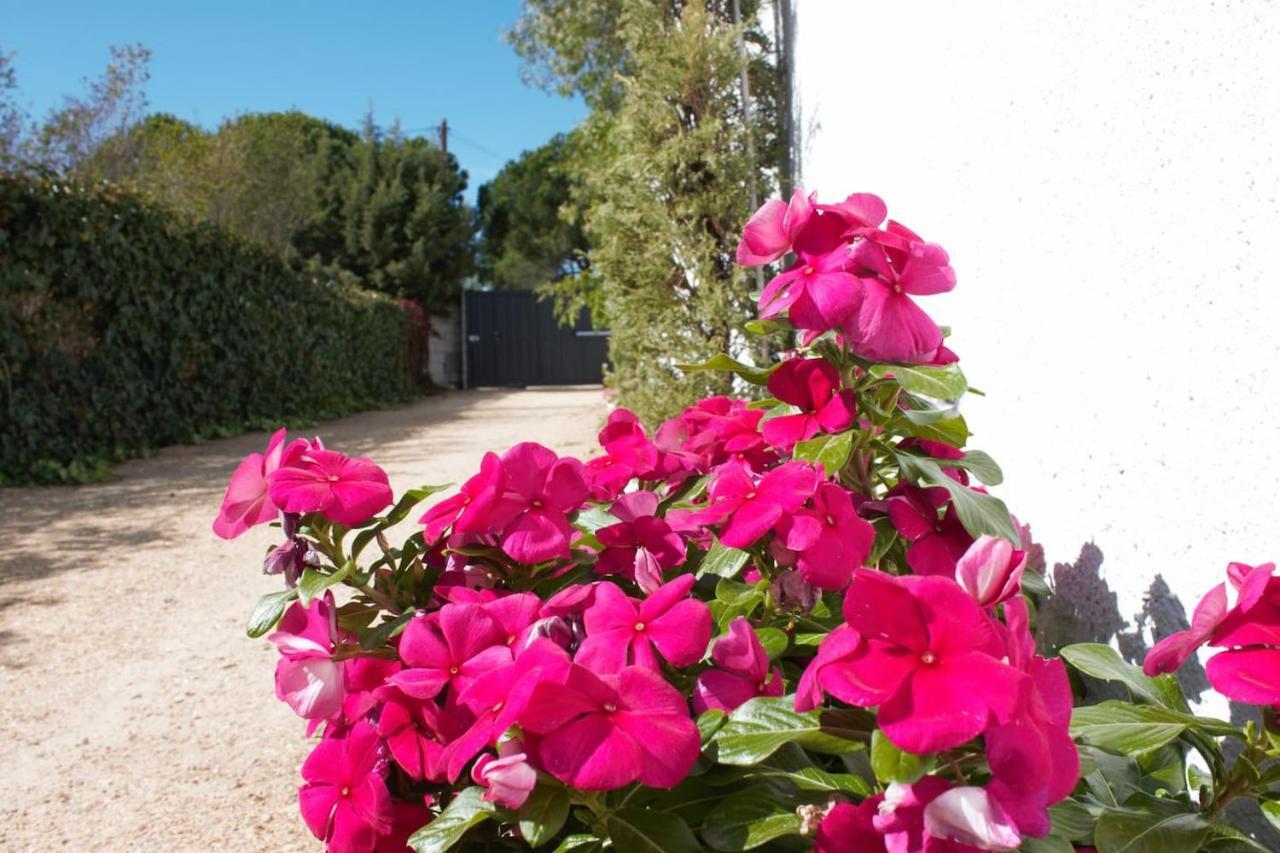 Finca Paredes Valdetorres de Jarama Luaran gambar