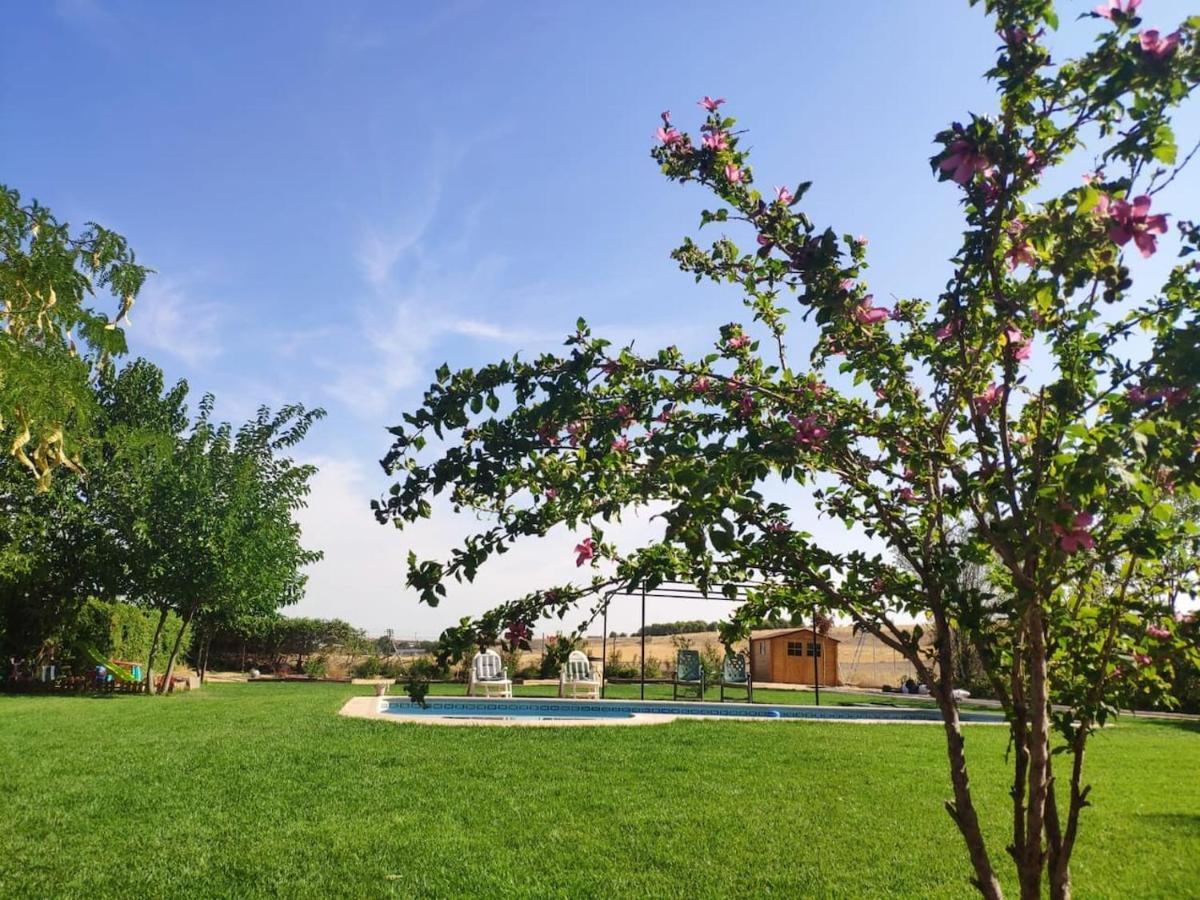Finca Paredes Valdetorres de Jarama Luaran gambar