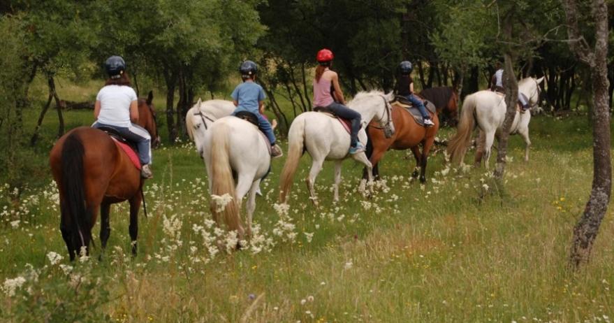 Finca Paredes Valdetorres de Jarama Luaran gambar